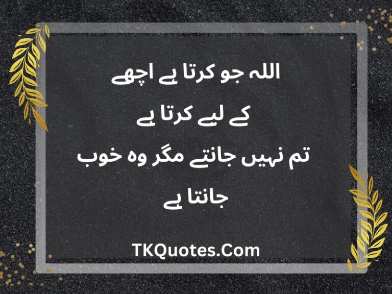 Best 30 Islamic Quotes In Urdu Text | Islamic Dp quotes | Heart Touching Islamic quotes