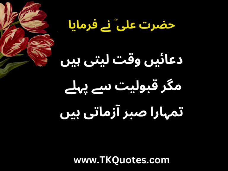 Best 25 Hazrat Ali(R.A) Quotes In Urdu | Aqwal Zareen In Urdu | Islamic Quotes in Urdu Text 