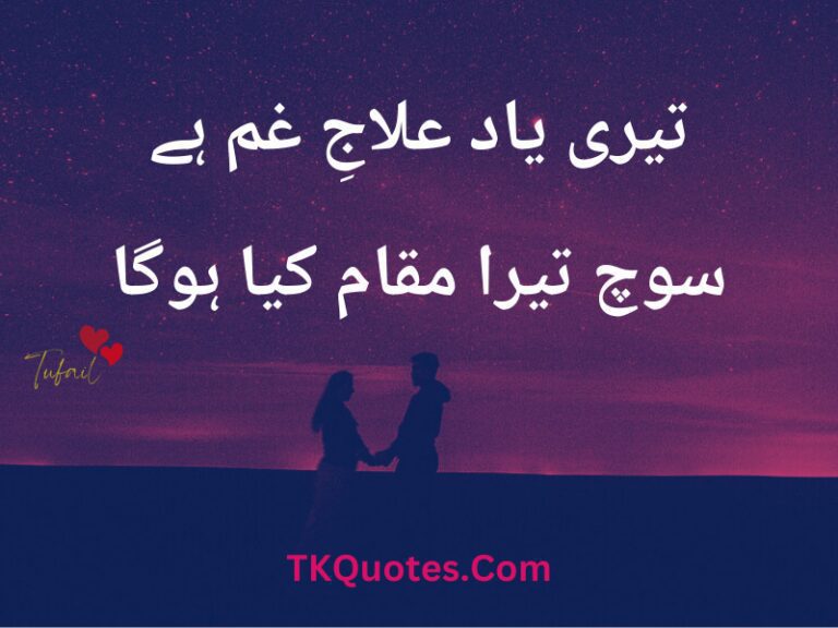 Deeply Heart Touching Love Poetry In Urdu Hindi Text | Romantic Love Poetry | Love Quotes In Urdu Hindi