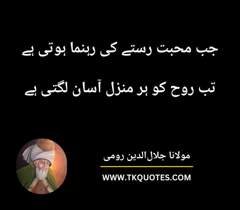 Maulana Rumi Quotes